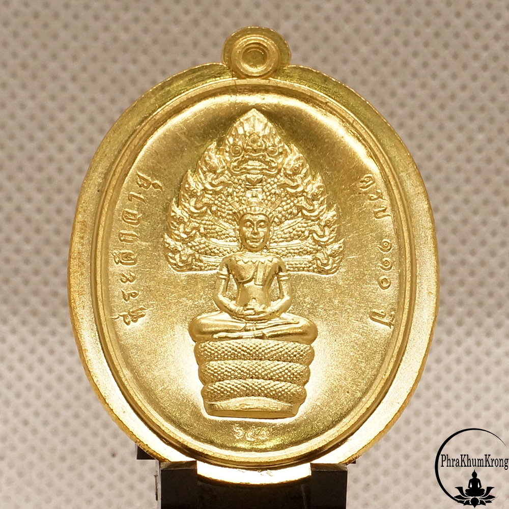 เหรียญนาคปรก รุ่น ที่ระลึกอายุ ๑๑๐ ปี หลวงปู่ทวน ปุสฺสวโร วัดโป่งยาง อำเภอแก่งหางแมว จังหวัดจันทบุรี เนื้อทองระฆัง ไม่ตัดปีก