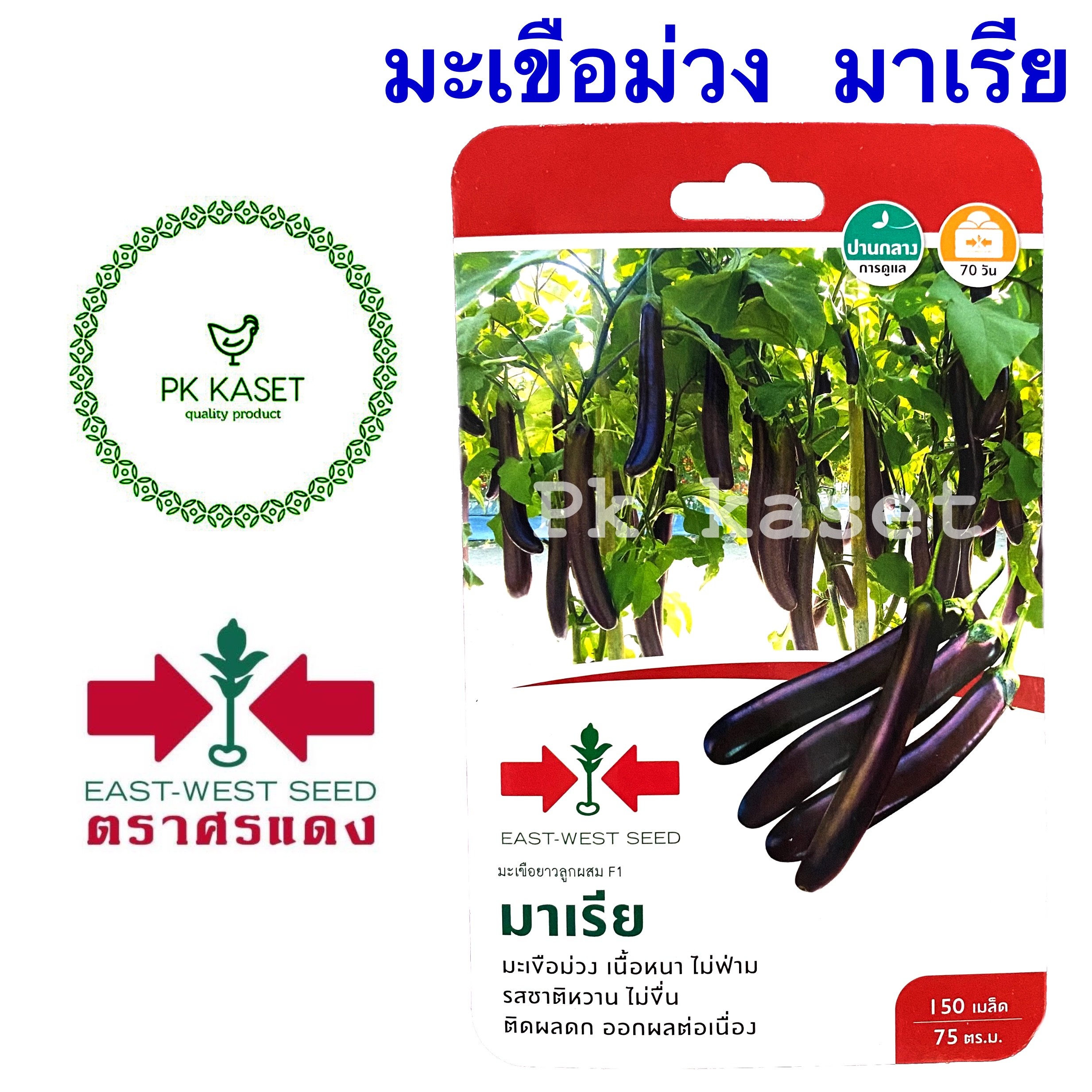 เมล็ดมะเขือม่วง มาเรีย ตราศรแดง ซองแข็ง 150 เมล็ด ผักสวนครัว