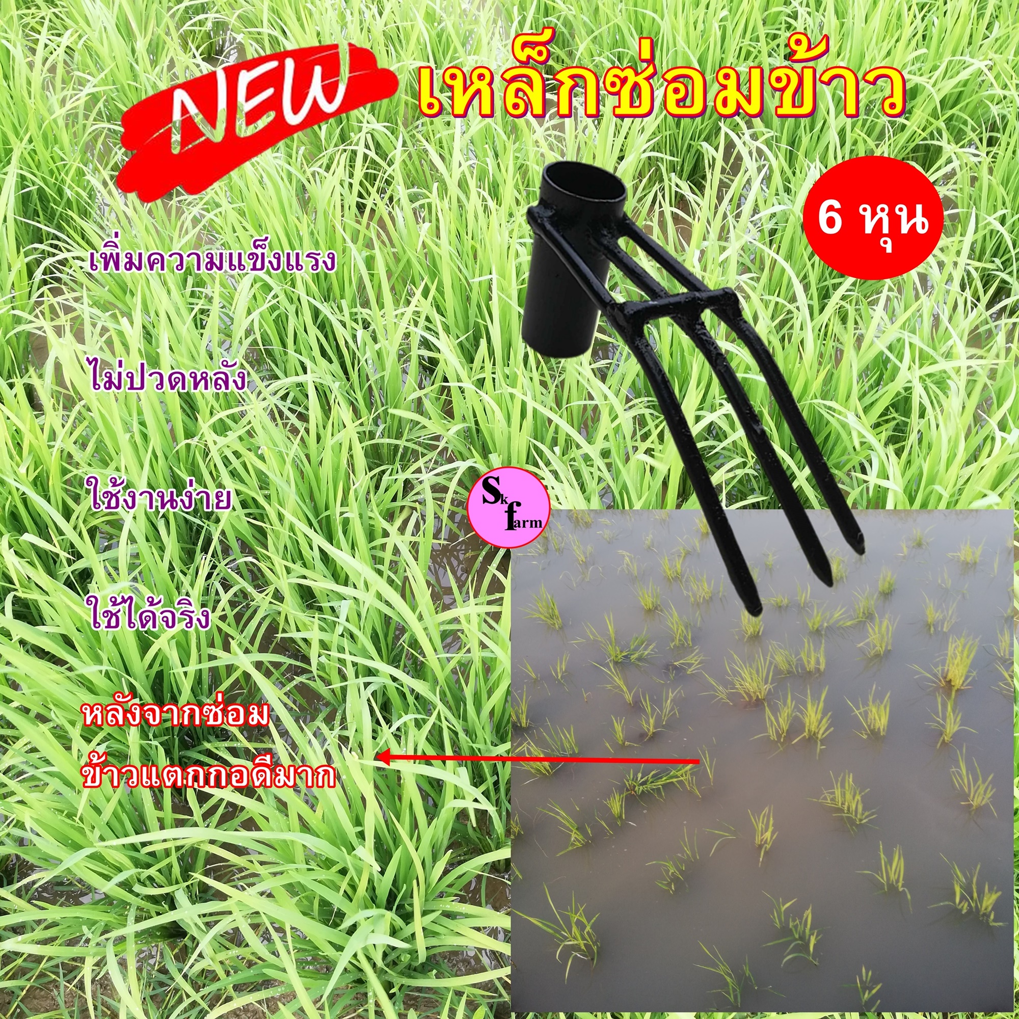 คราดย้ายข้าว แทนการปักดำไม่ปวดหลังขนาด 6 หุน ส่งฟรีเก็บเงินปลายทาง แบบเสริมเหล็กดึงขาเพิ่มความแข็งแร็ง