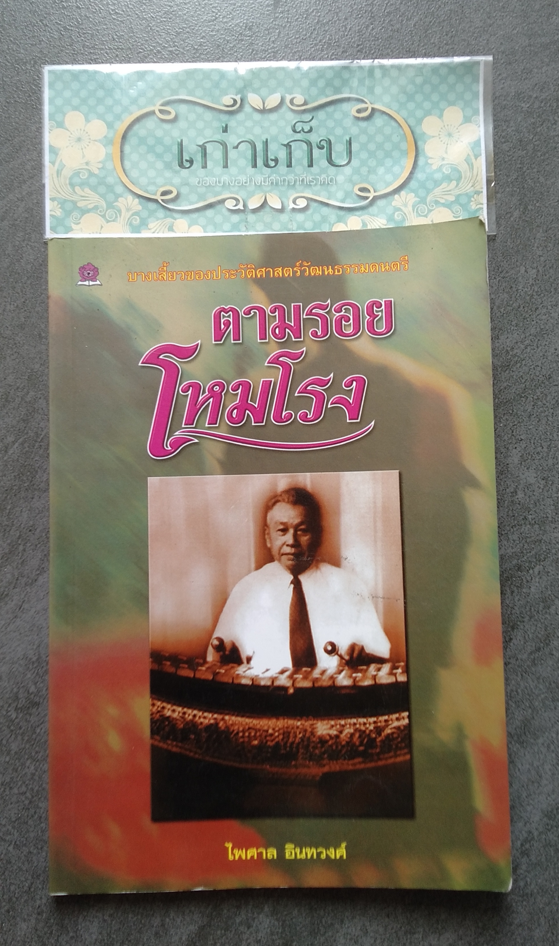 ตามรอยโหมโรง โดย ไพศาล อินทวงศ์