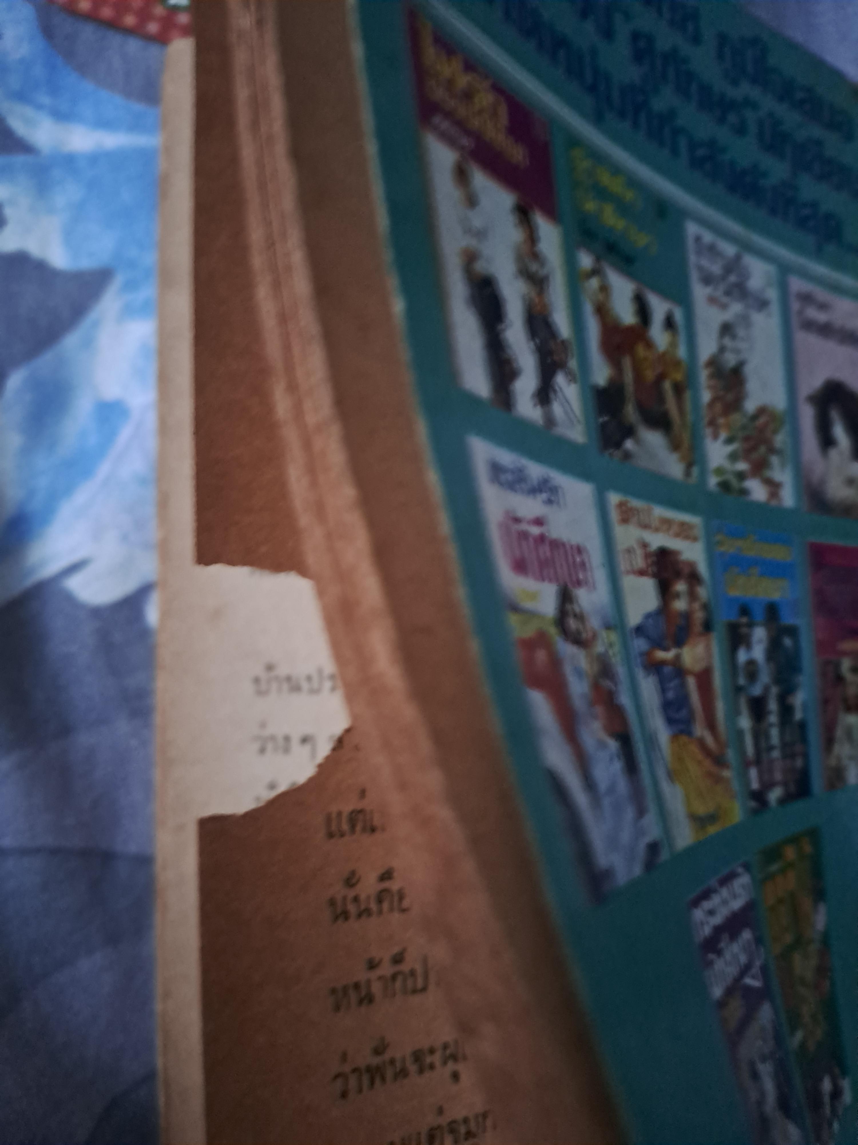 พิเรนรักนักศึกษา โดย ศุภักษร