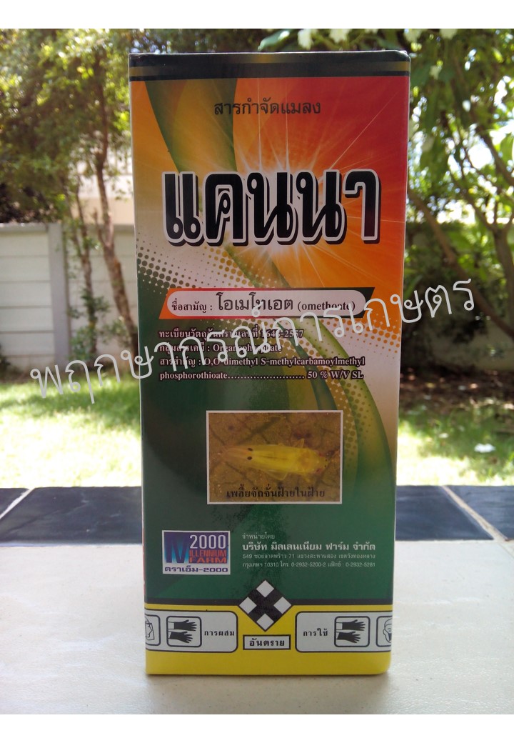 แคนนา