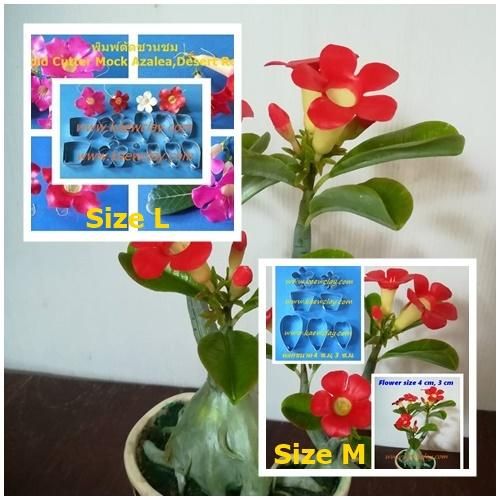 พิมพ์ตัดดอก+ใบชวนชม(Aluminum mold cutter Desert Rose; Impala Lily; Mock Azalea.)