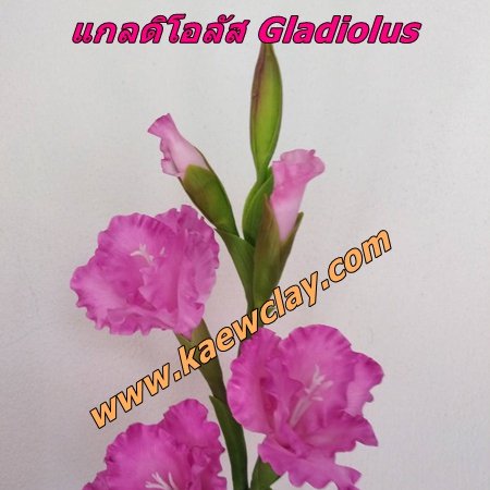 พิมพ์ตัดดอก + ใบแกลดิโอลัส ( Aluminum Mold cutter Gladiolus flower )