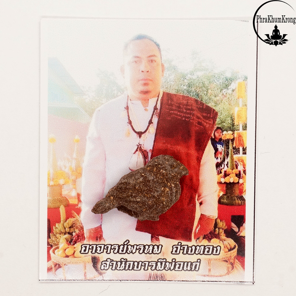 สาริกาลิ้นทอง อาจารย์พรหม อ่างทอง สำนักบารมีพ่อแก่ สีดำ