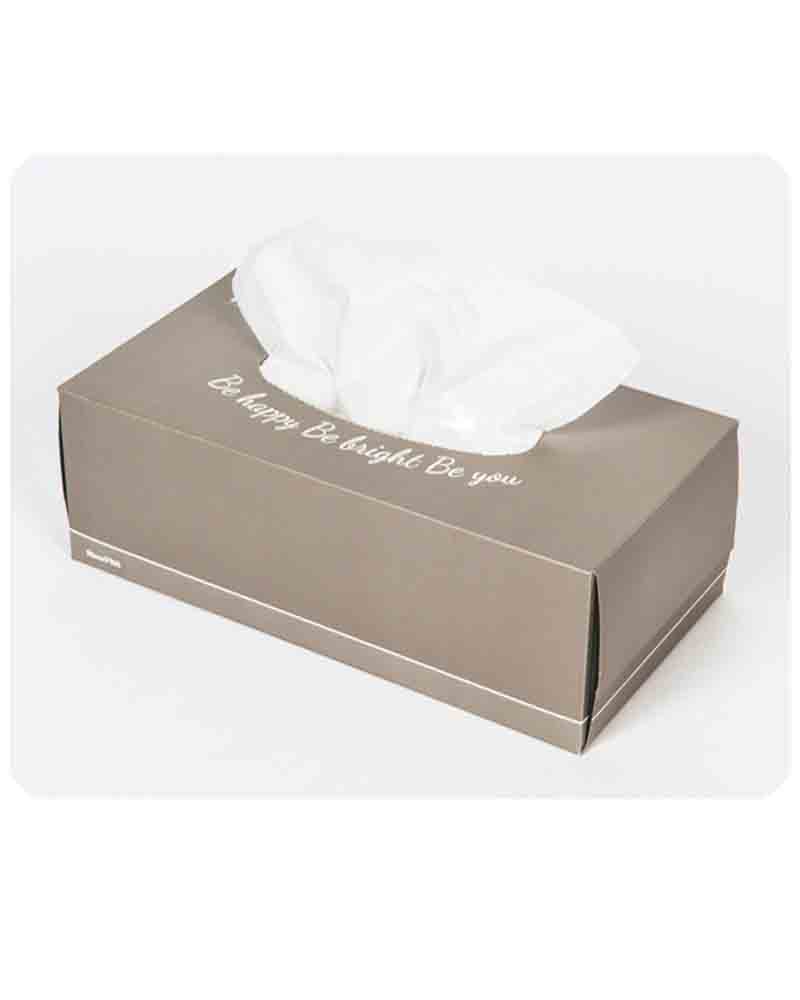 กระดาษเช็ดหน้า RiverPro Facial Tissue 170 Sheets