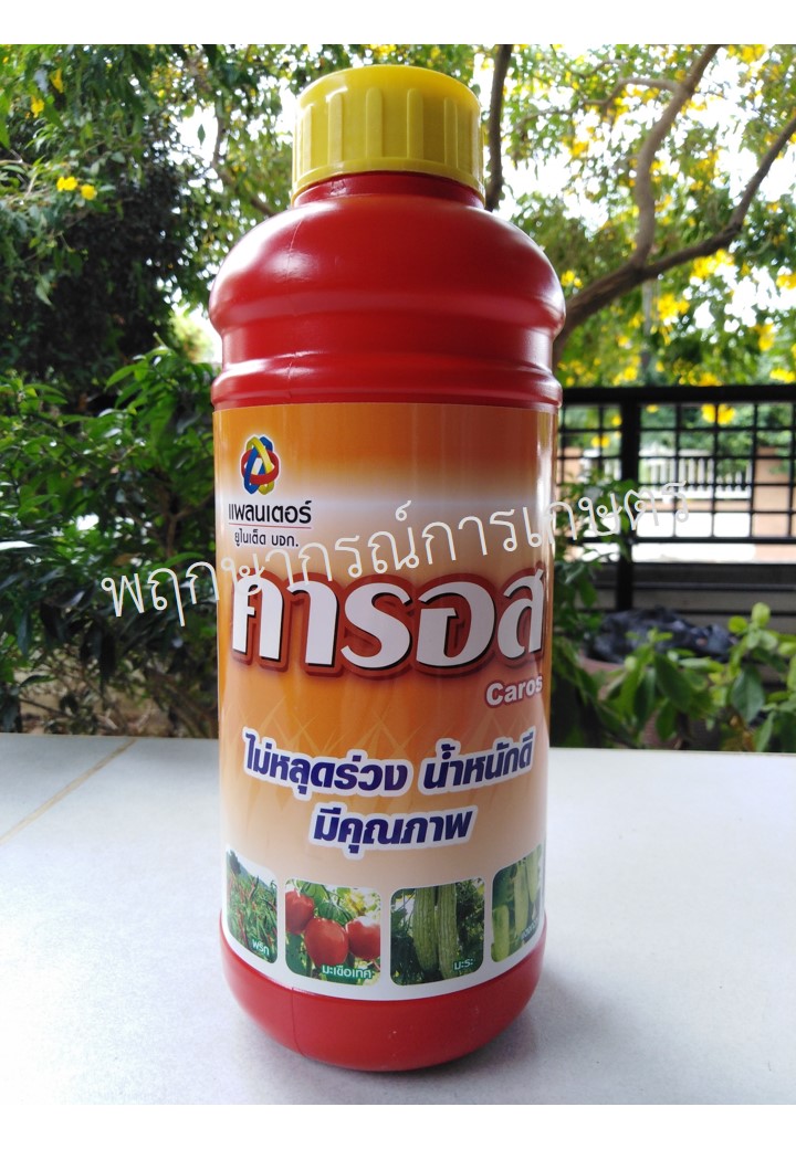 คารอส