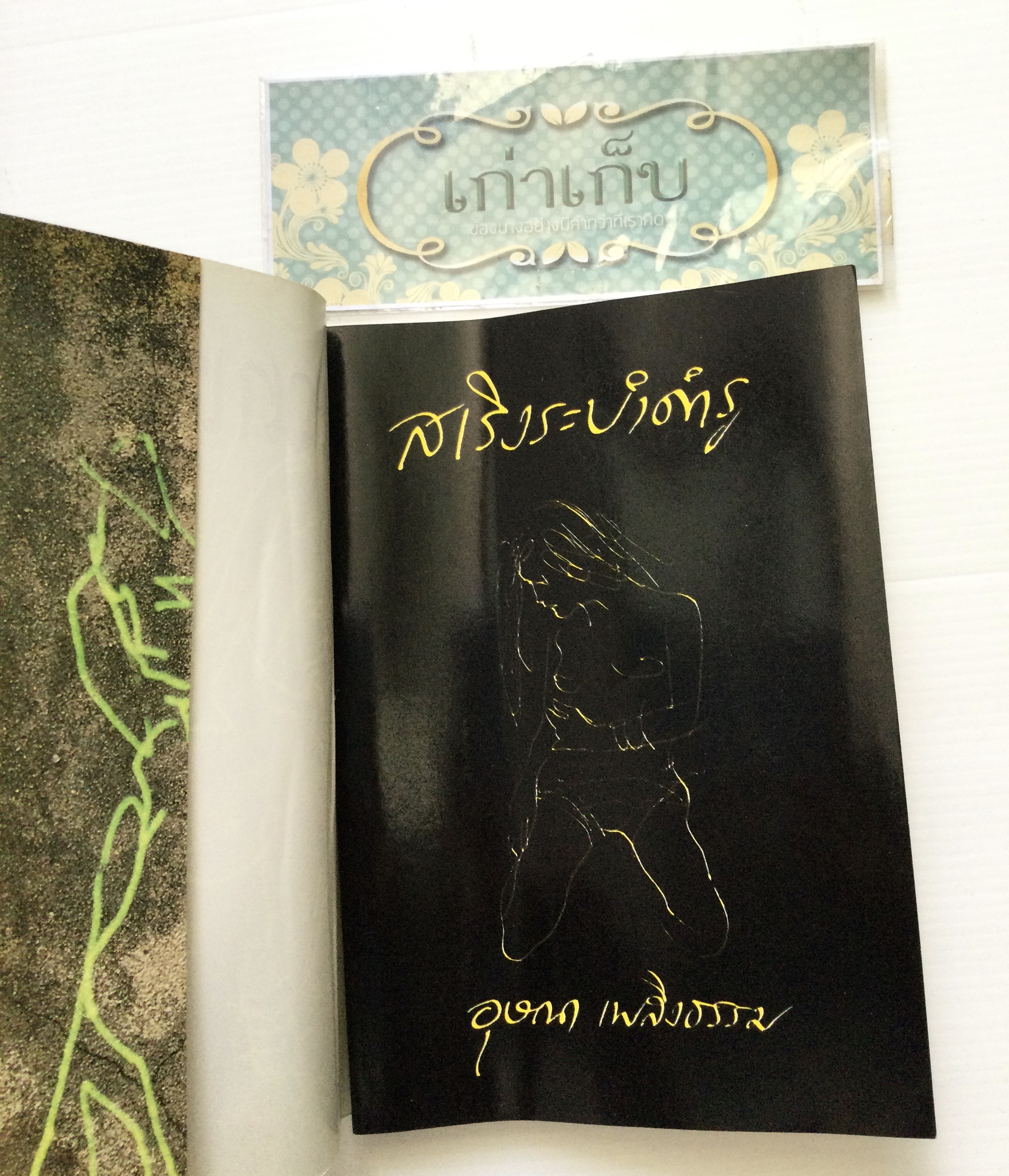สเริงระบำดำรู โดย อุษณา เพลิงธรรม #หนังสือมือหนึ่ง #ใช้โค้ดส่งฟรีได้