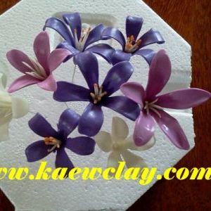 พิมพ์อลูมิเนียมตัดดอก 5 กลีบ (Aluminum mold cutter flower 5-petal)