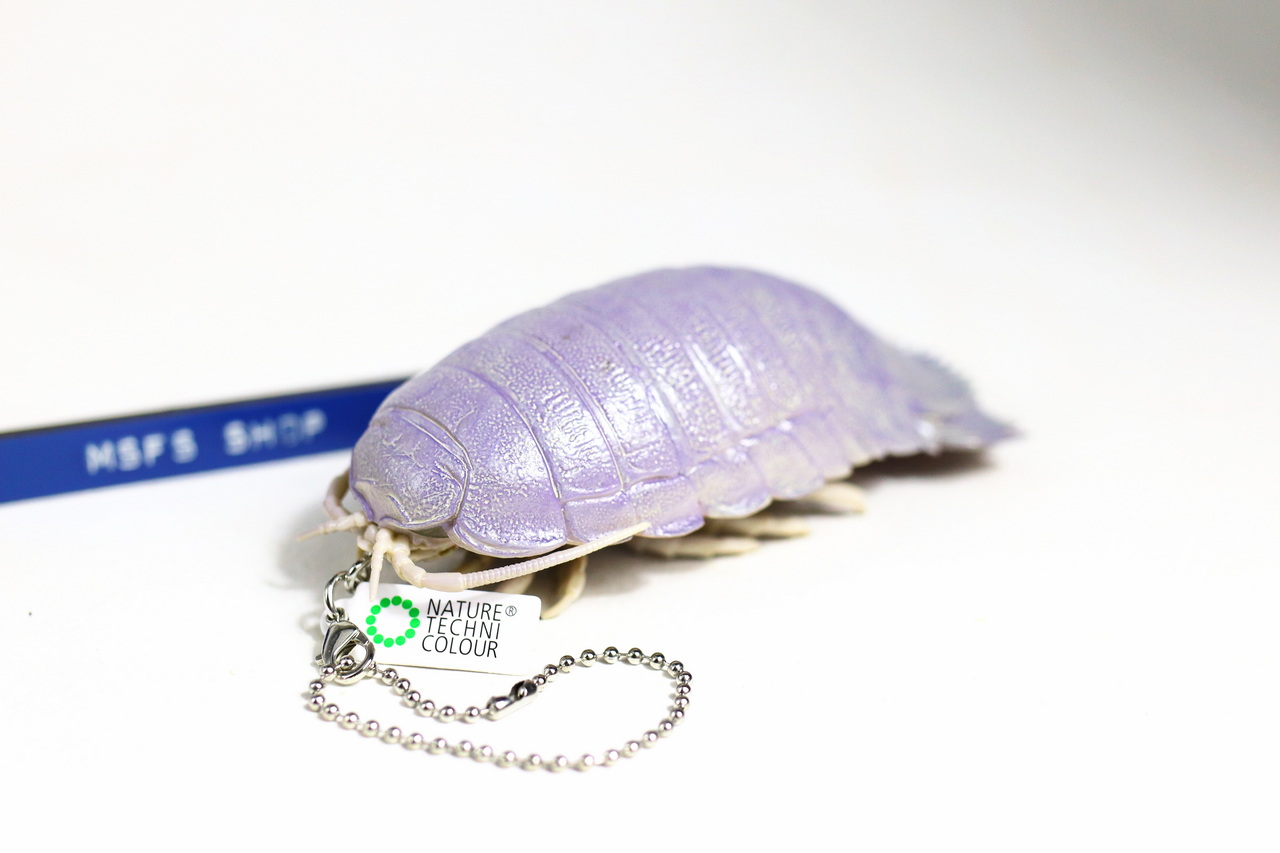 [มือสอง] กาชาปองพวงกุญแจ Isopod ตัวใหญ่ สีม่วงอ่อน - Gashapon Kitan Club Nature Techni Colour Isopod