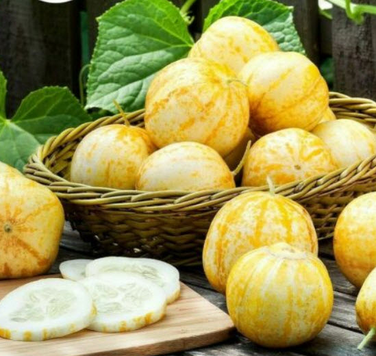แตงกวา คริสตอล แอปเปิ้ล (Cucumber - Crystal Apple) / 20 เม็ด (UK)