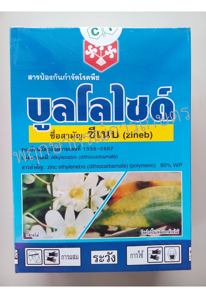 บูลโลไซด์