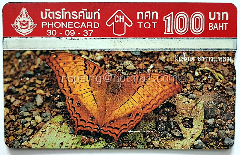 บัตรโทรศัพท์ ทศท. ผีเสื้อ ผีเสื้อตาลหางแหลม 30-09-37