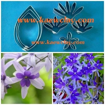 พิมพ์อลูมิเนียมตัดดอก+ใบพวงคราม(Aluminum mold cutter Petrea volubilis + leaves )