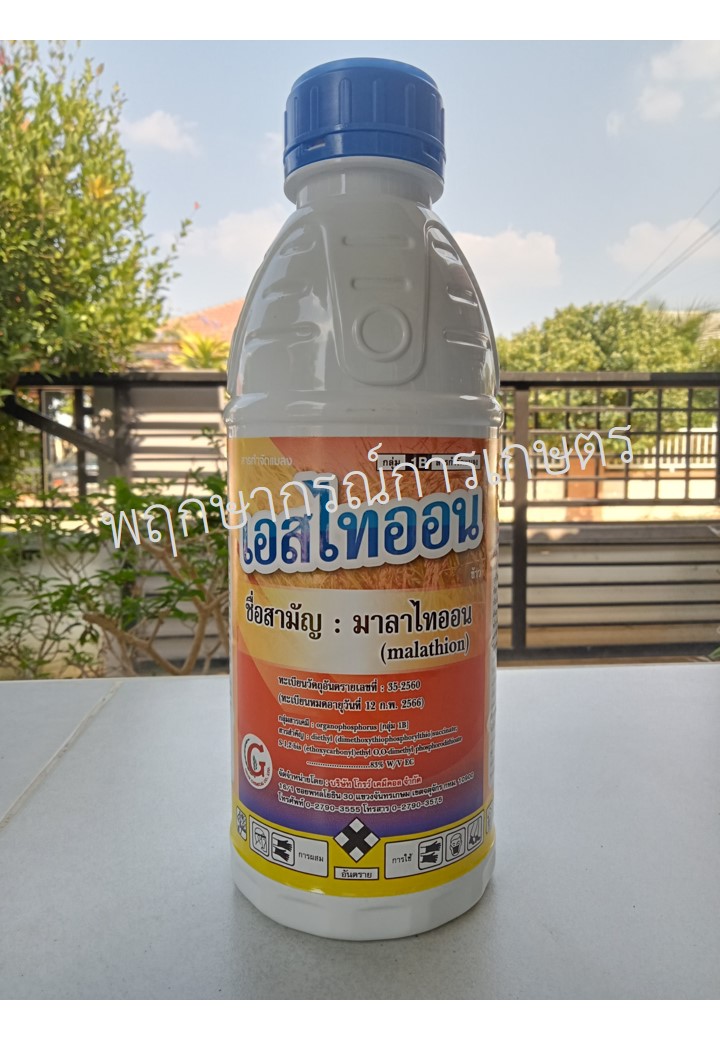 เอสไทออน
