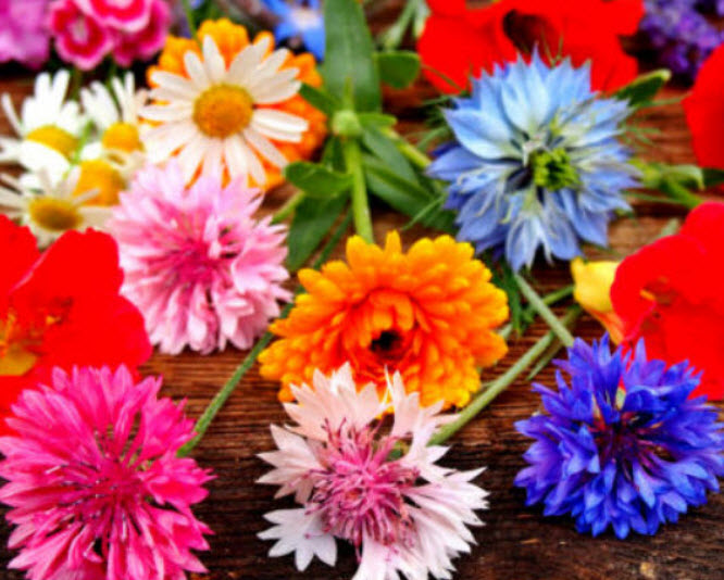 ชุดรวมดอกไม้กินได้ / 1,000 เม็ด (UK)