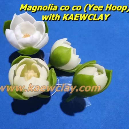 พิมพ์ตัดอลูมิเนียมดอก + ใบ ยี่หุบ Mold cutter Magnolia co co (Yee Hoop)