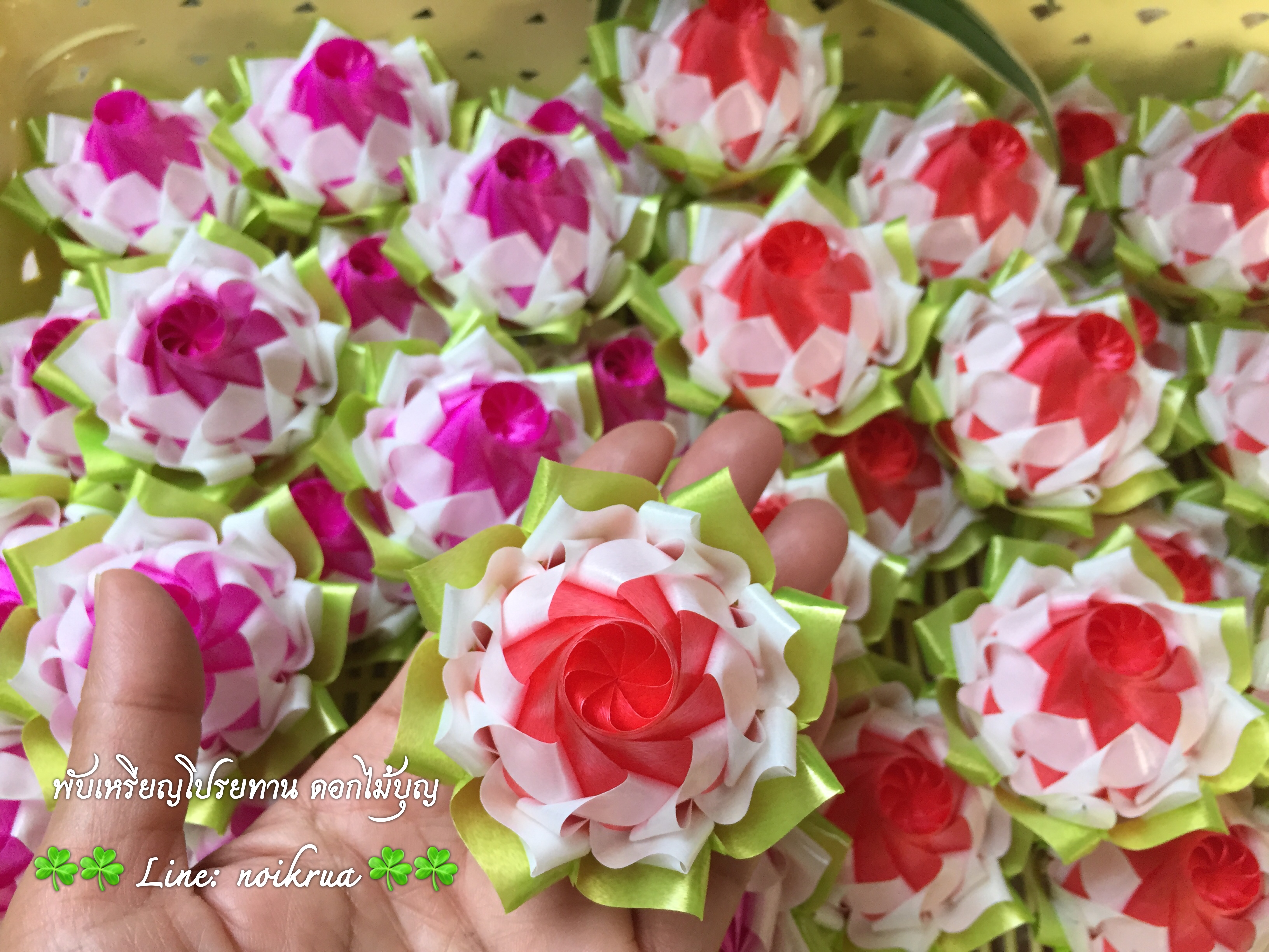 บัวปทุมมาสองสี