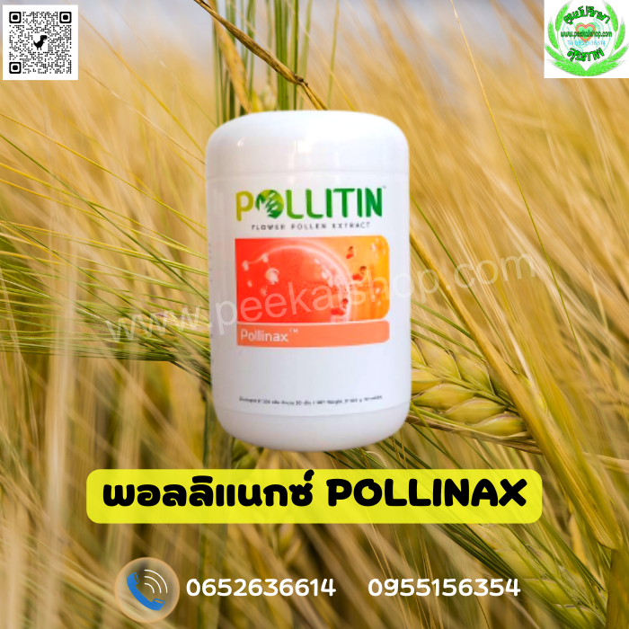 POLLINAX พอลลิแน็กซ์