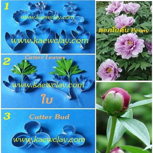 พิมพ์อลูมิเนียมตัดดอก+ใบโบตั๋น(Aluminum mold cutter peony + leaves )