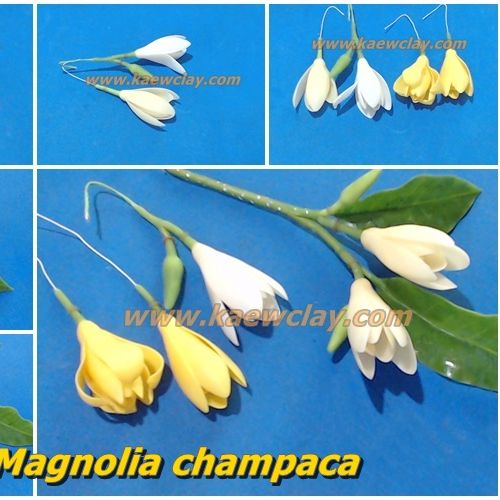 พิมพ์ตัดอลูมิเนียมดอก+ใบจำปี, จำปา(Aluminum mold cutter White Champaka,Magnolia champaca )