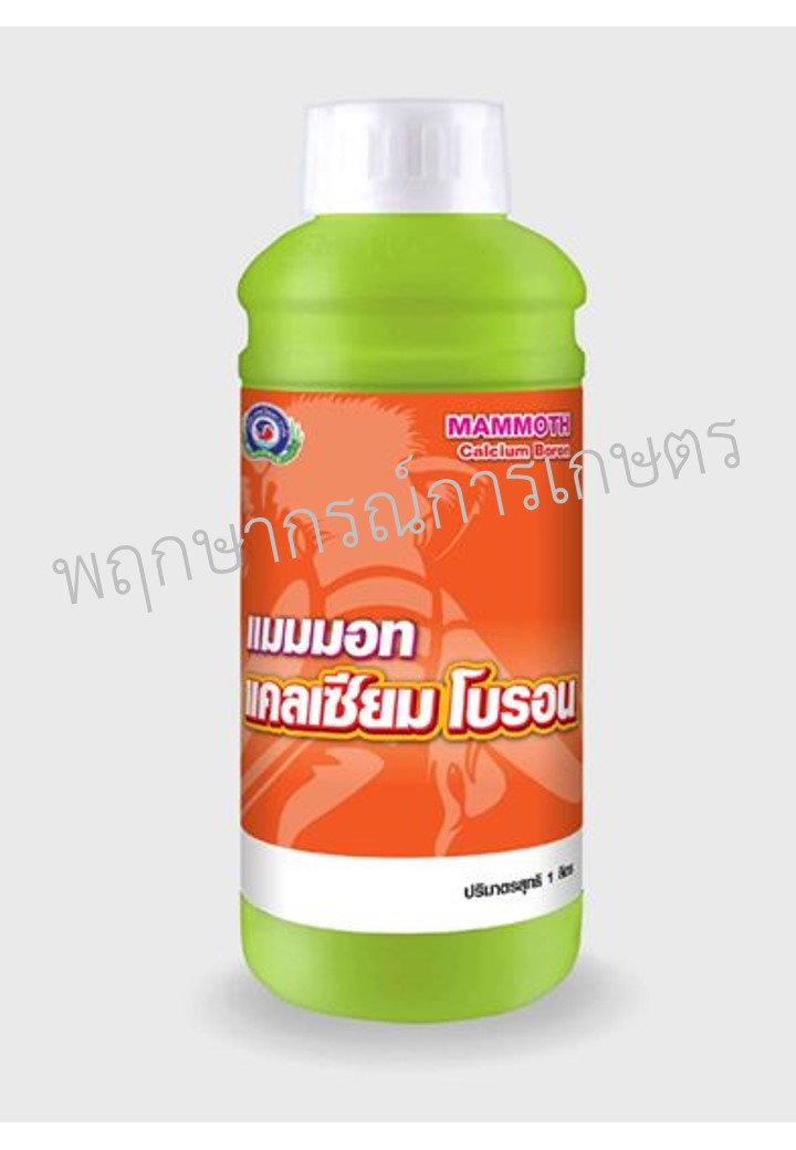 แมมมอท แคลเซียม โบรอน
