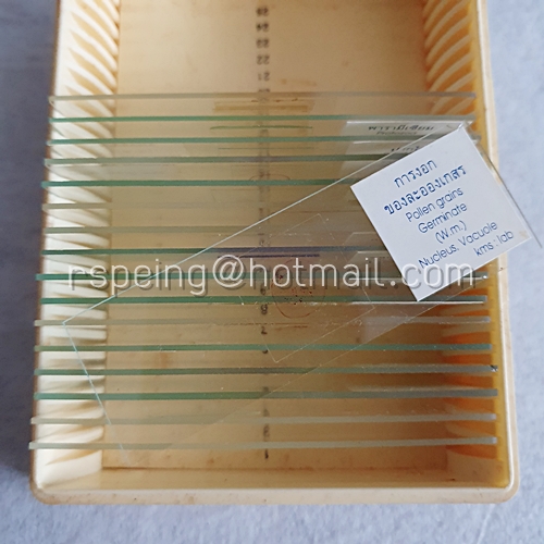 กล้องจุลทรรศน์เก่า 60X-450X BIDHAYA-BHAND พร้อมกล่องไม้ และกล่องแผ่นกระจกตัวอย่างวัตถุ (Microscope Slides)