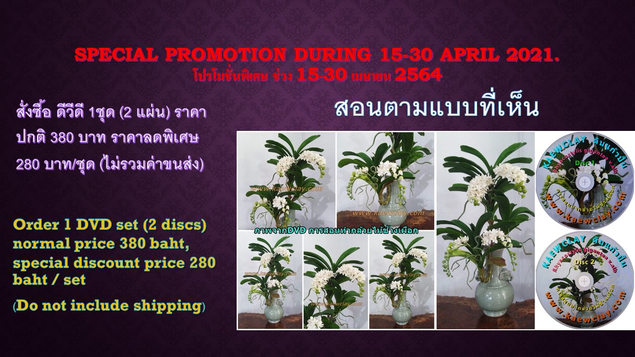 DVD สอนทำกล้วยไม้ช้างเผือก (DVD How to make Rhynchostylis gigantean (Lindl.) Ridl. with KAEWCLAY) สำเนา