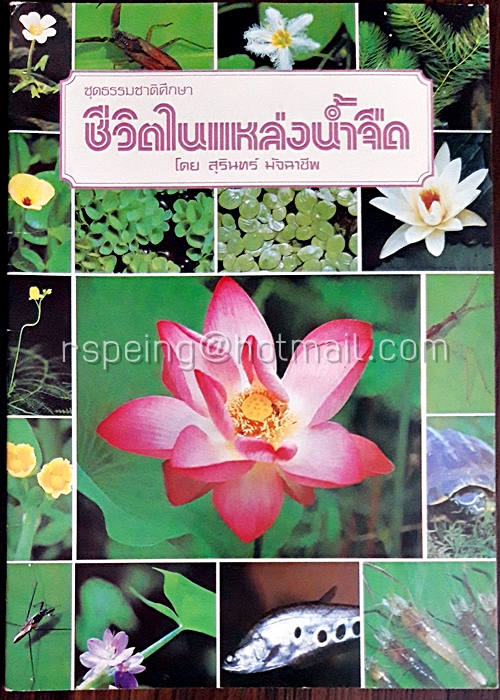 ชีวิตในแหล่งน้ำจืด