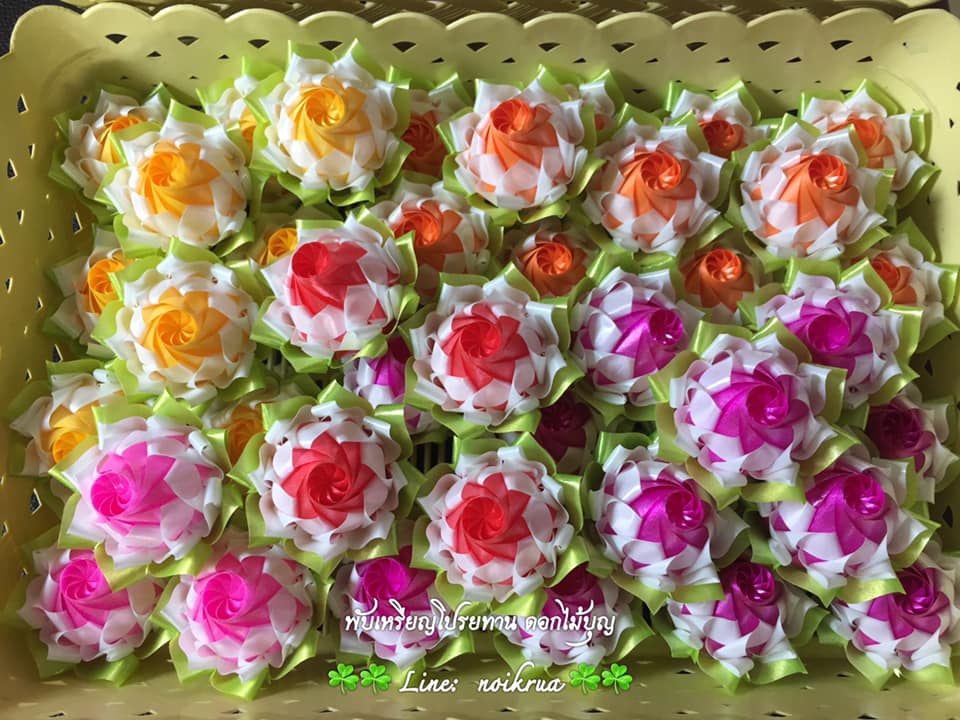 บัวปทุมมาสองสี