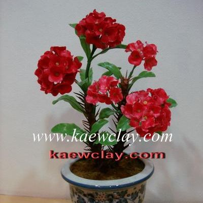 DVDการสอนทำดอกและต้นโป้ยเซียน (DVD How to make CROWN OF THORNS with KAEWCLAY)