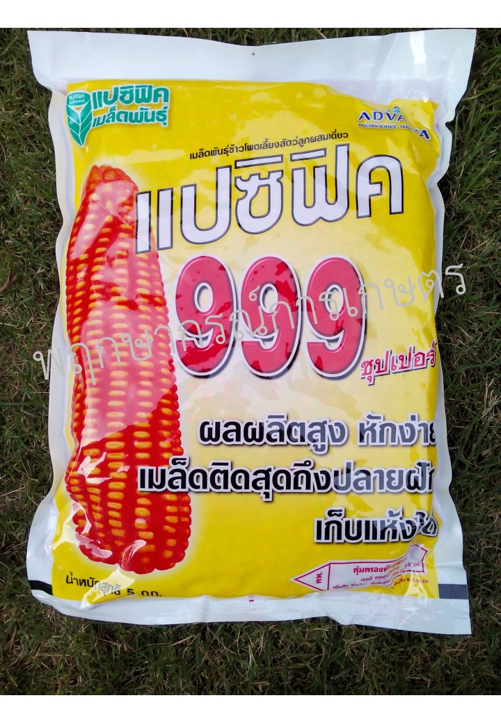 แปซิฟิก 999
