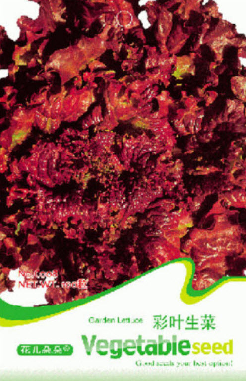 สลัดผักกาดแดง (Red Leaf Lettuce) / ซอง 100 เม็ด
