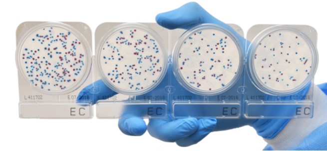 Compact Dry EC (สำหรับตรวจ E.coli และ Coliform)