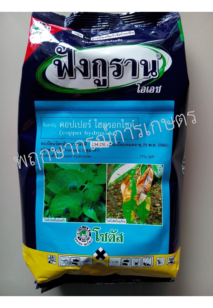 ฟังกูราน 1 กิโลกรัม