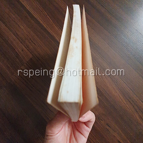 สนุกกับภาษาญี่ปุ่น การพูดและการใช้ชีวิตในประเทศญี่ปุ่น Nihongo Notes 1 Speaking and Living in Japan