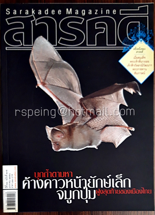 สารคดี ปีที่ ๒๔ ฉบับที่ ๒๗๕ มกราคม ๒๕๕๑