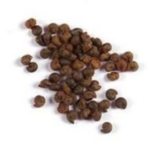 เสี้ยนฝรั่ง (Cleome / Spider Flower) คละ / 200 เม็ด*