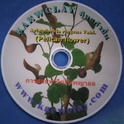 DVD การสอนทำไก่ฟ้าพญาลอ หรือ Link Online (DVD How to make Aristolochia ringens Vahl.(Pelican flower) with KAEWCLAY KAEWCLAY))