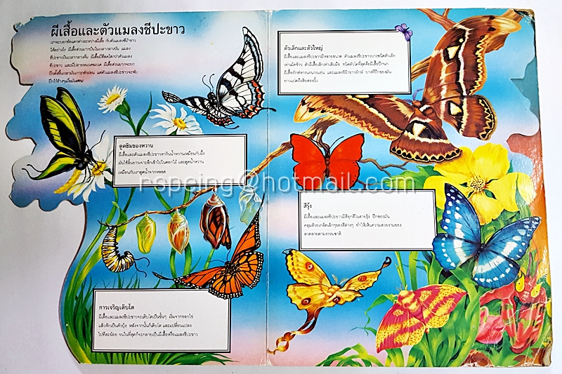 แมลง อยู่ที่ปลายนิ้วมือของท่าน