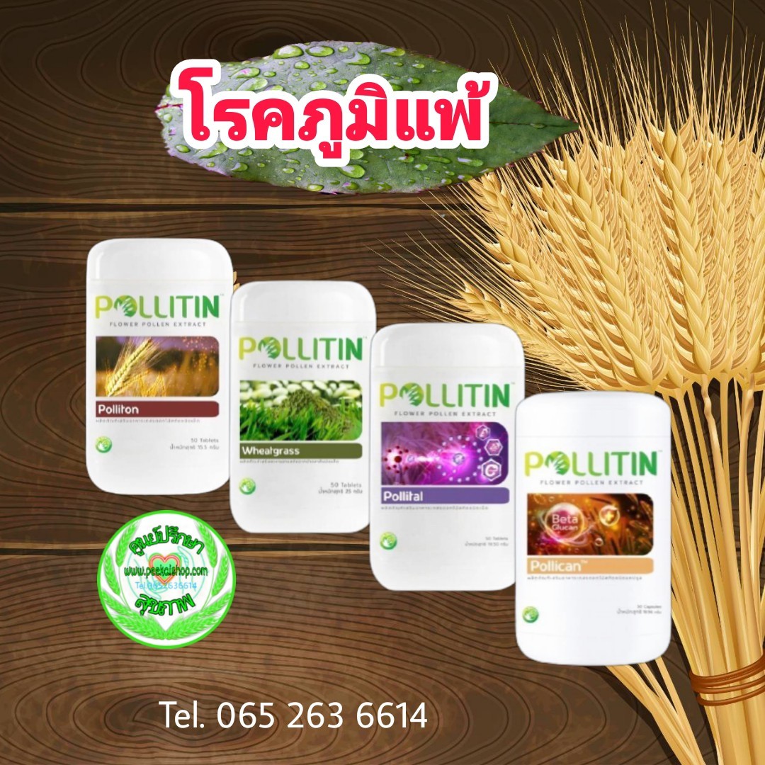 โรคภูมิแพ้ (พอลลิติน)