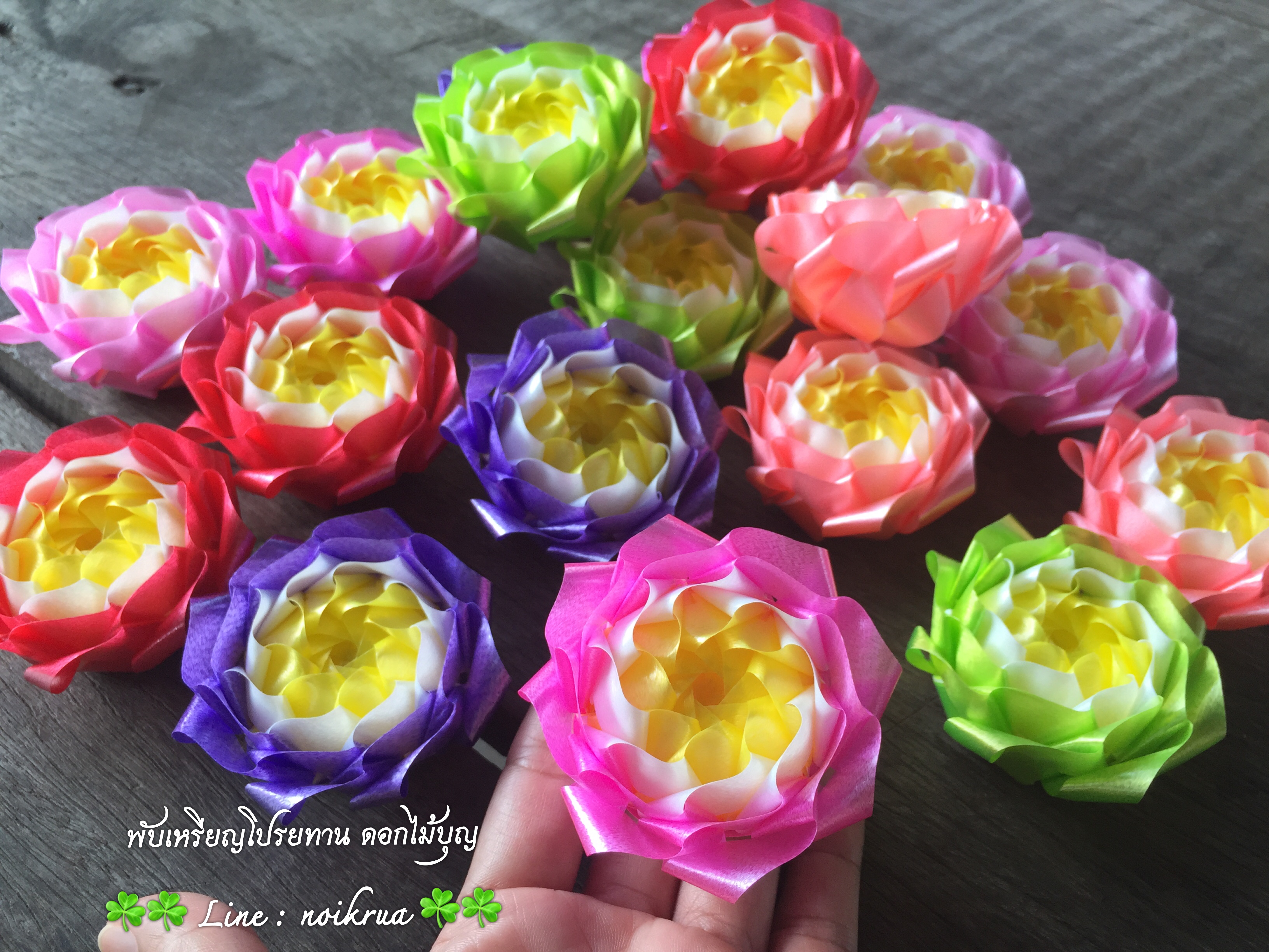 ดอกบัวสวรรค์คละสี