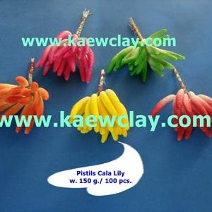 เกสรดอกคาร่า,หน้าวัว(Pistils Cala LILY )