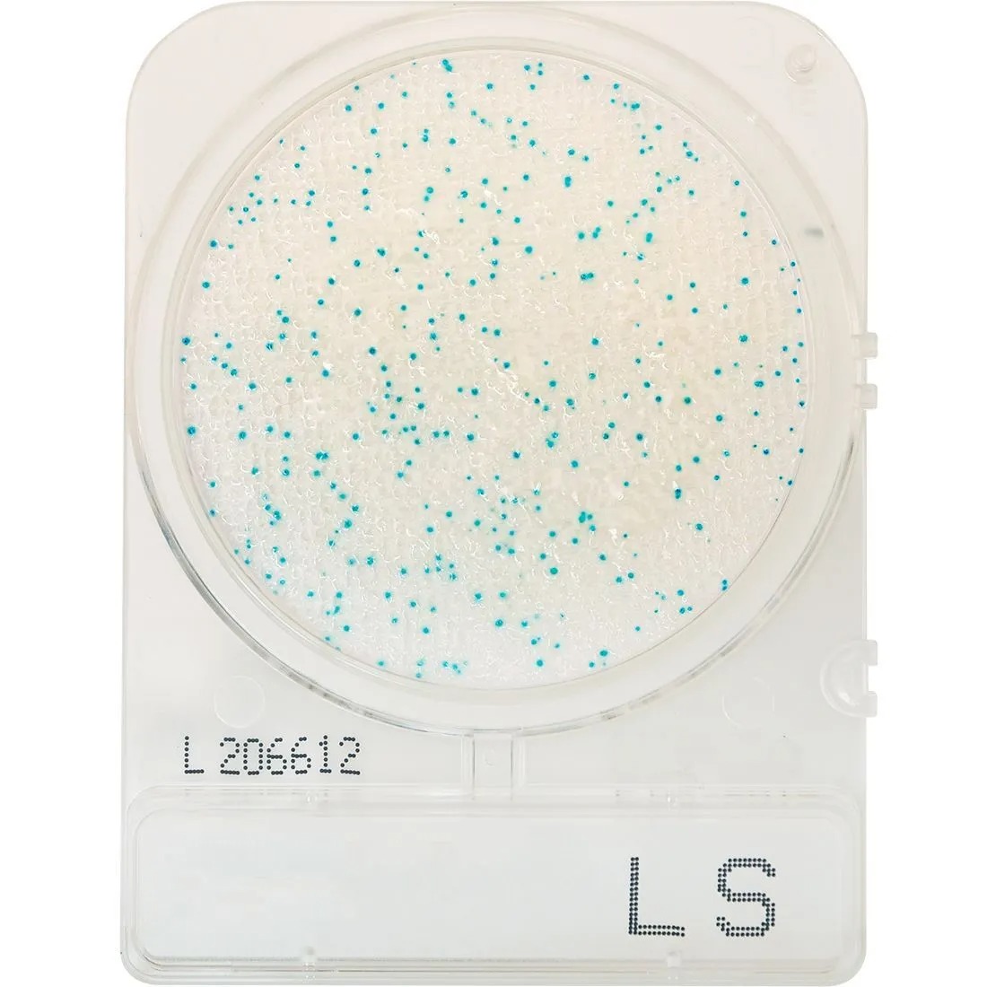 Compact Dry LS (สำหรับตรวจ Listeria spp.)