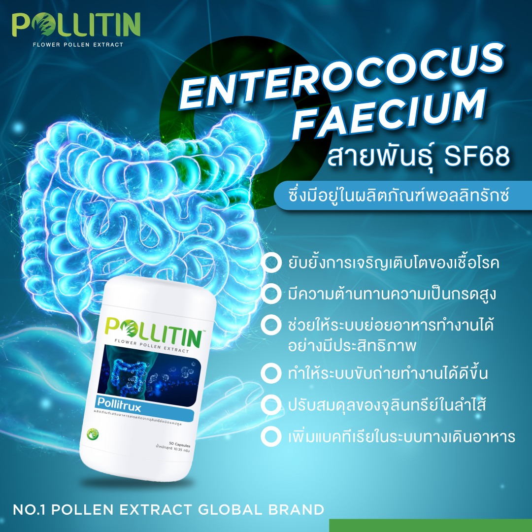 พอลลิทรักซ์ Pollitrux (สีฟ้า)