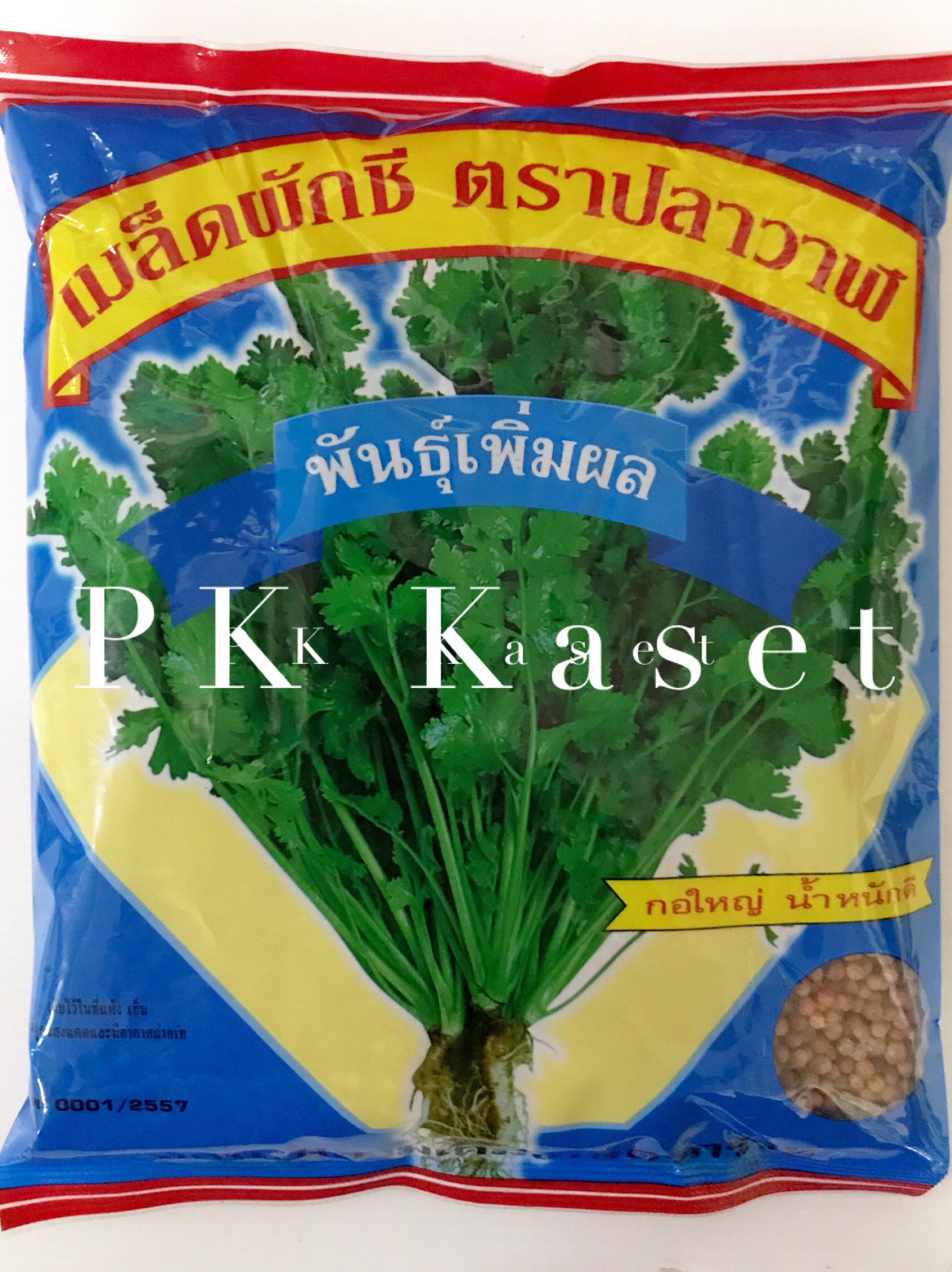 เมล็ดผักชี เพิ่มผล 300g ตราปลาวาฬ (เม็ดกลม) กอแน่น ใบใหญ่ กลิ่นหอม ราคาส่ง