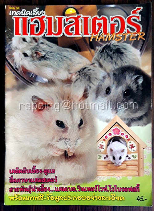 เทคนิคเลี้ยงแฮมสเตอร์ Hamster