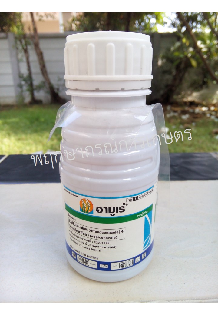 อามูเร่ 250 ซีซี