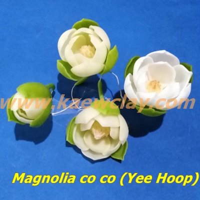 พิมพ์ตัดอลูมิเนียมดอก + ใบ ยี่หุบ Mold cutter Magnolia co co (Yee Hoop)