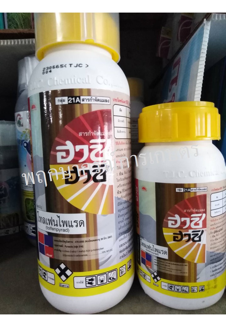 ฮาชิ ฮาชิ 250 ซีซี